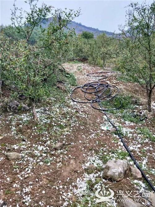 晴隆之窗最新爆料,最新爆料背后的惊人真相